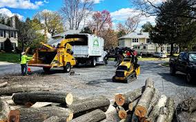 Best Seasonal Cleanup (Spring/Fall)  in Shepherdstown, WV