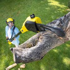 Best Lawn Irrigation Installation and Maintenance  in Shepherdstown, WV